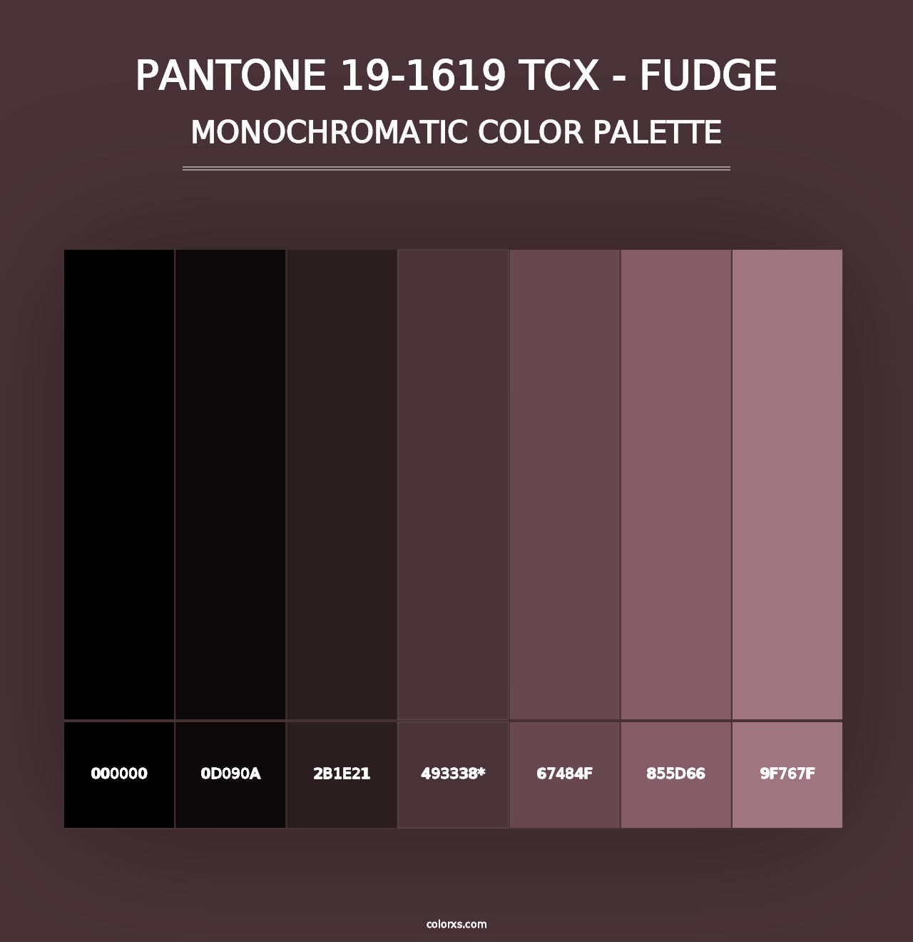 PANTONE 19-1619 TCX - Fudge - Monochromatic Color Palette