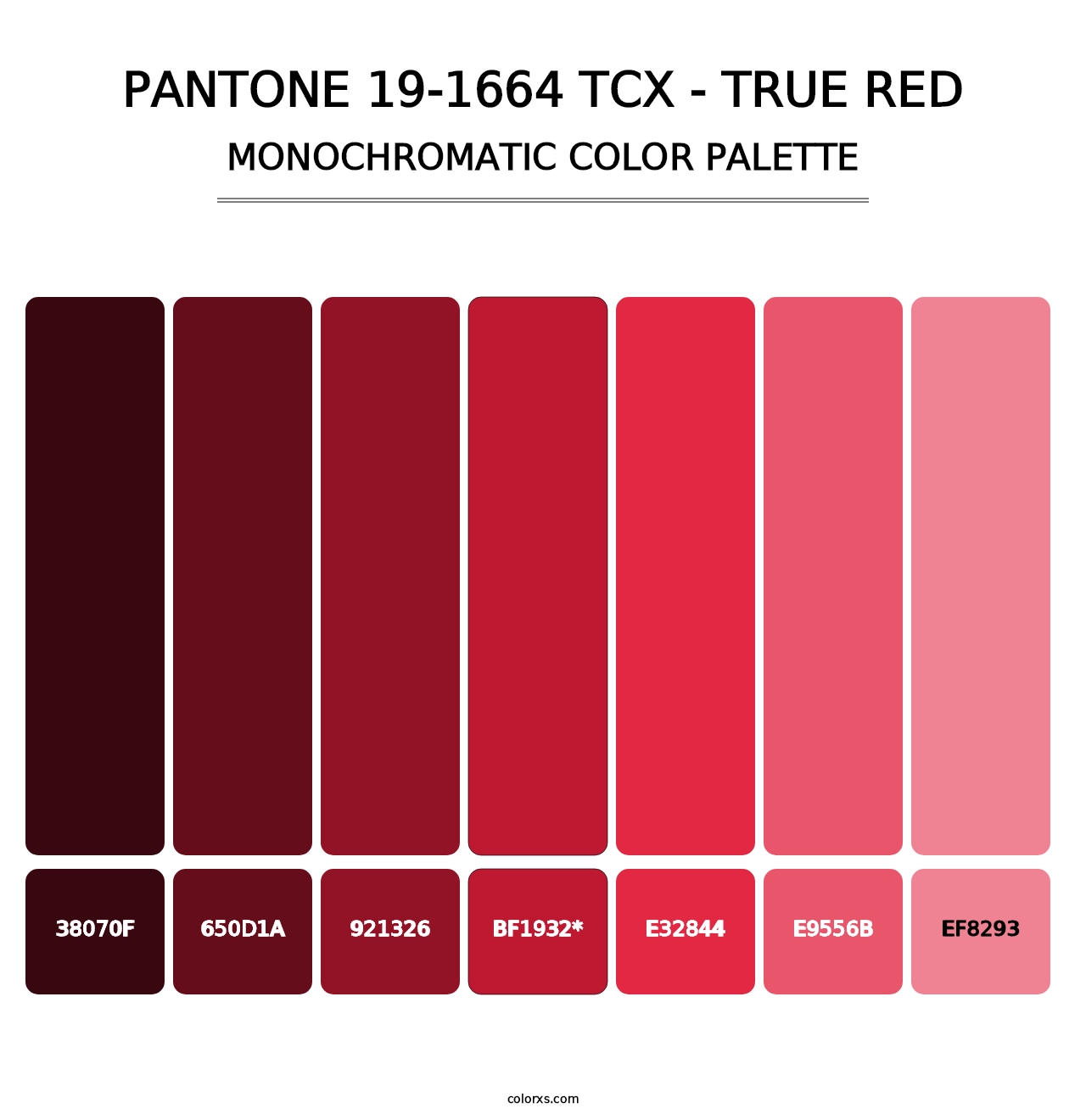 PANTONE 19-1664 TCX - True Red - Monochromatic Color Palette