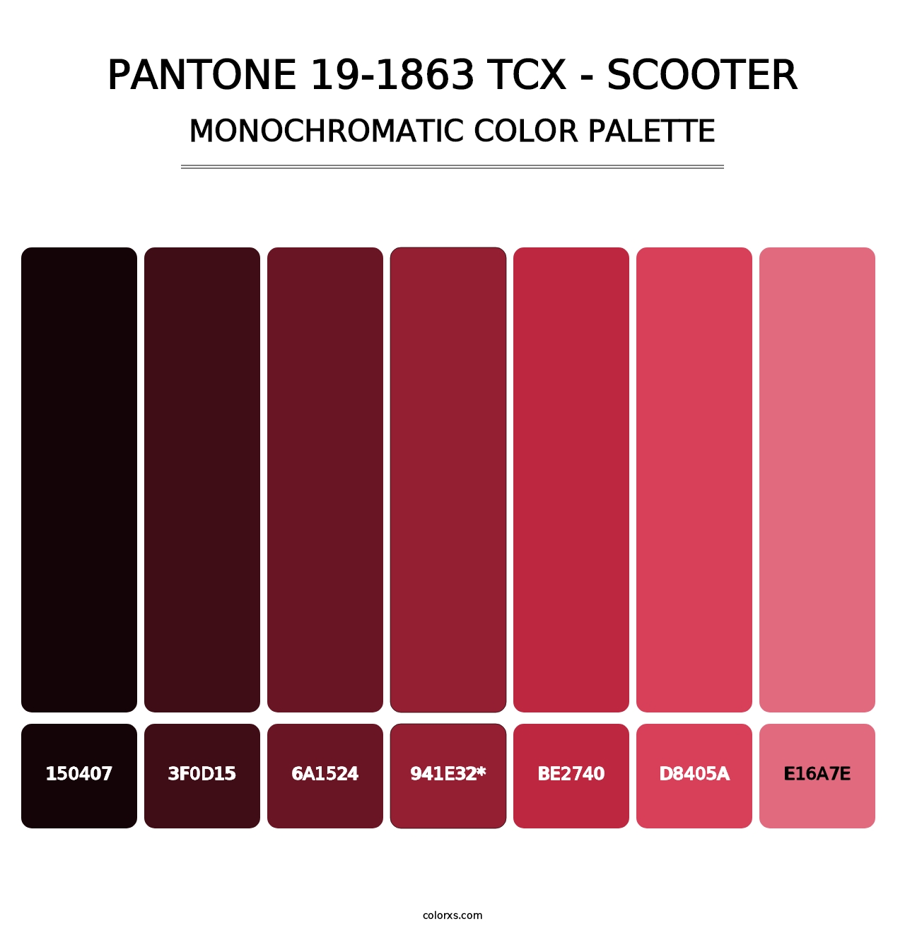 PANTONE 19-1863 TCX - Scooter - Monochromatic Color Palette