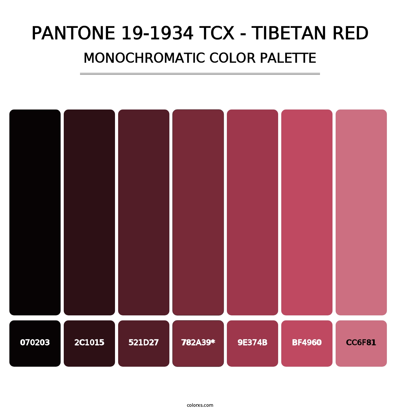 PANTONE 19-1934 TCX - Tibetan Red - Monochromatic Color Palette