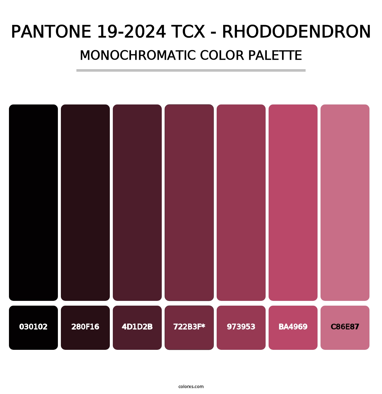 PANTONE 19-2024 TCX - Rhododendron - Monochromatic Color Palette