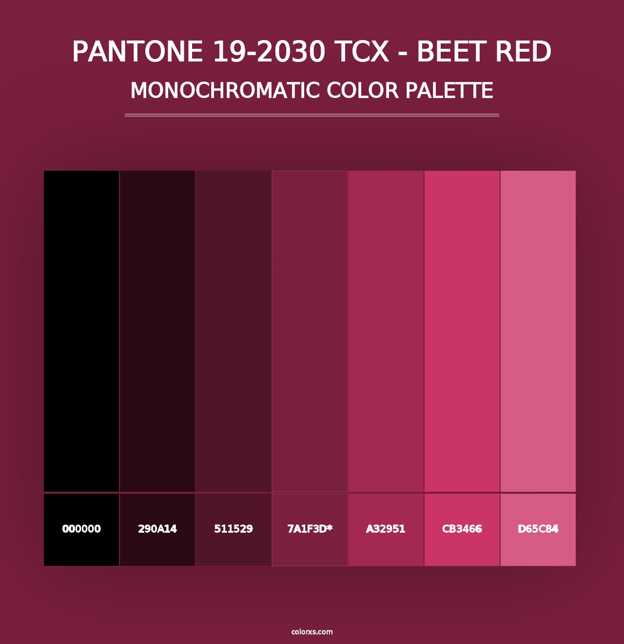 PANTONE 19-2030 TCX - Beet Red - Monochromatic Color Palette