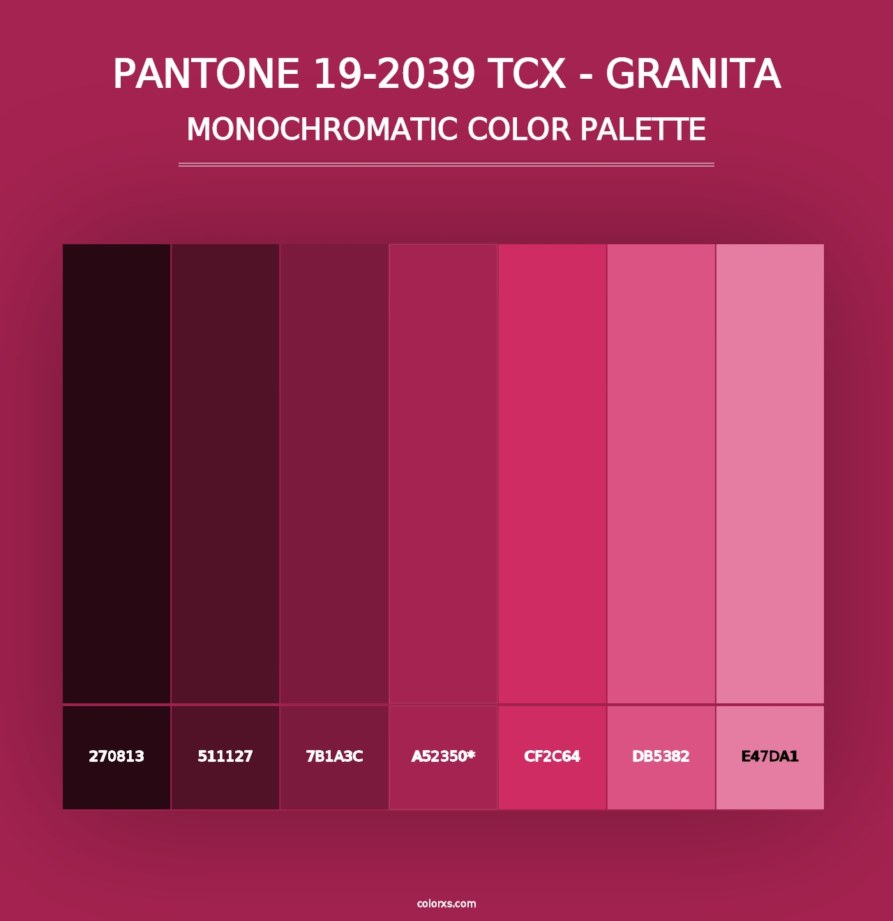 PANTONE 19-2039 TCX - Granita - Monochromatic Color Palette