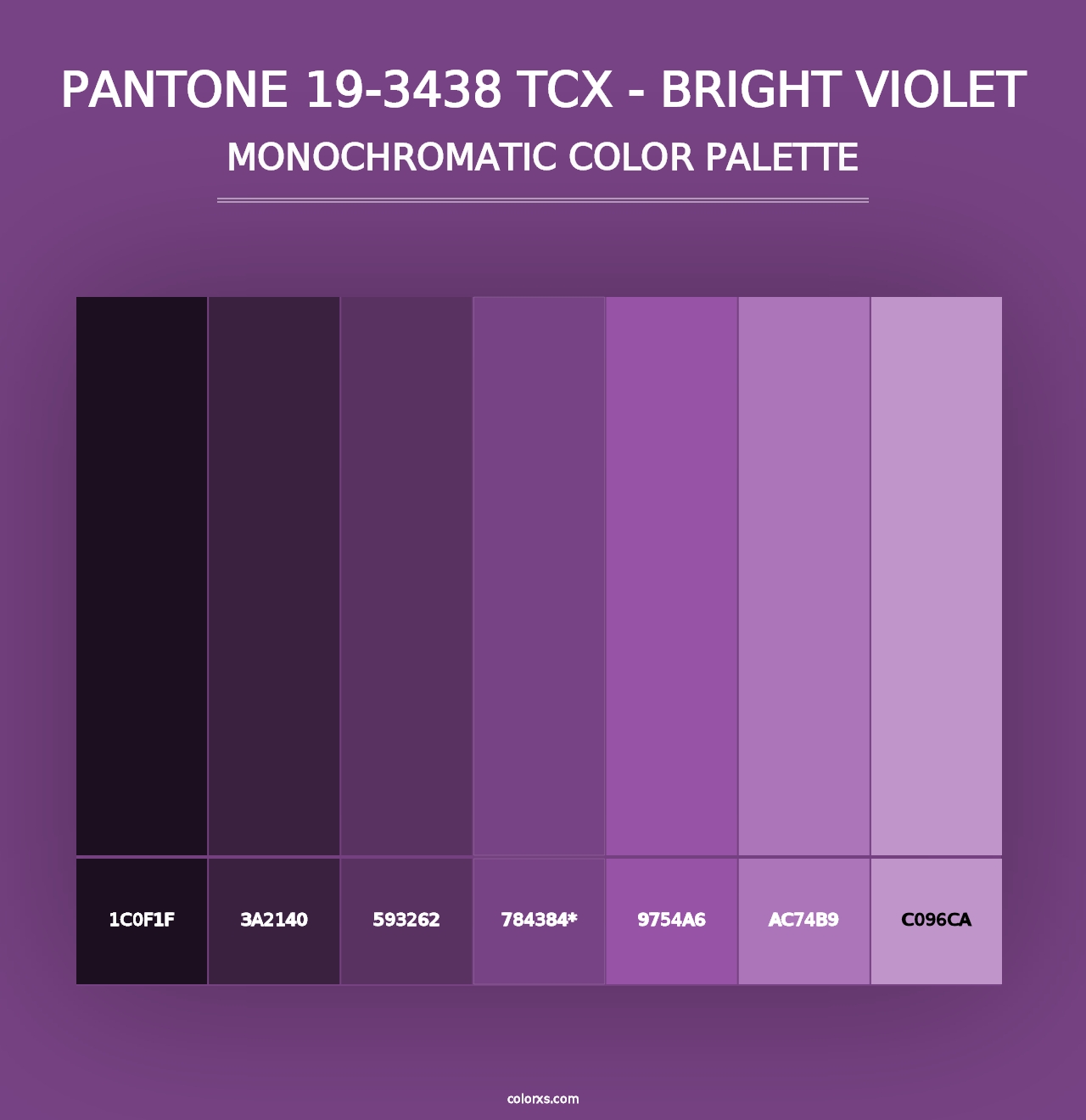 PANTONE 19-3438 TCX - Bright Violet - Monochromatic Color Palette