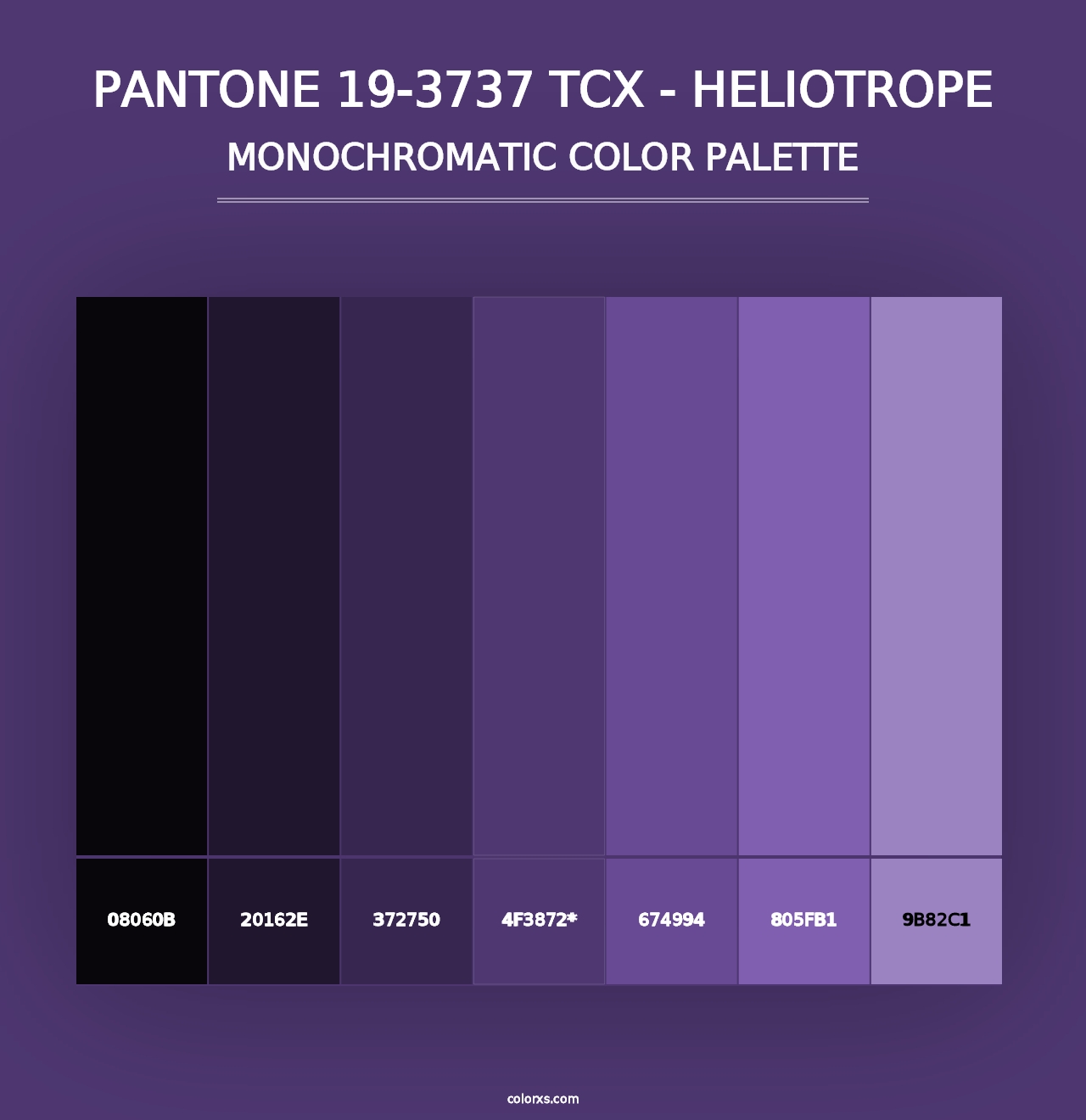 PANTONE 19-3737 TCX - Heliotrope - Monochromatic Color Palette