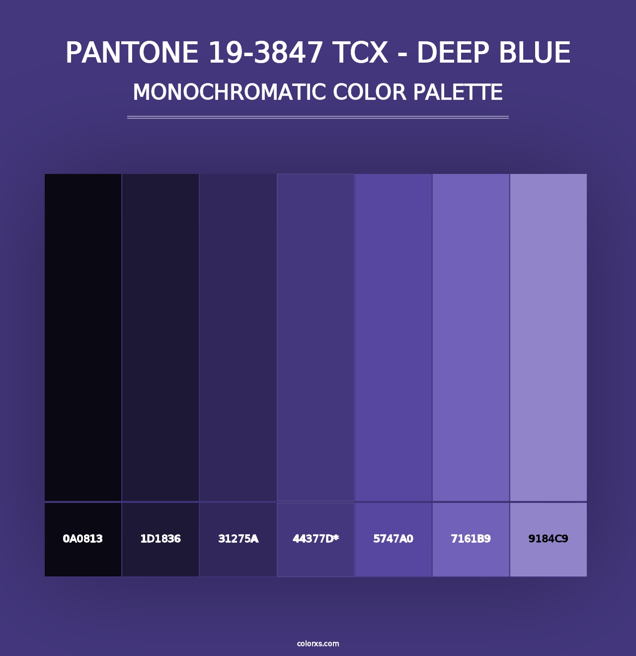 PANTONE 19-3847 TCX - Deep Blue - Monochromatic Color Palette