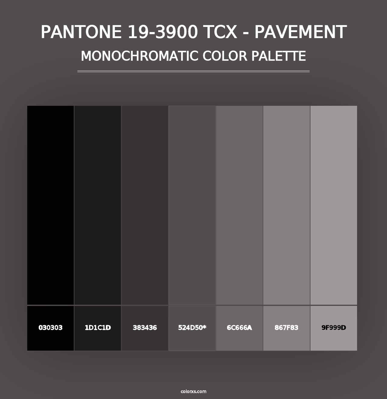 PANTONE 19-3900 TCX - Pavement - Monochromatic Color Palette