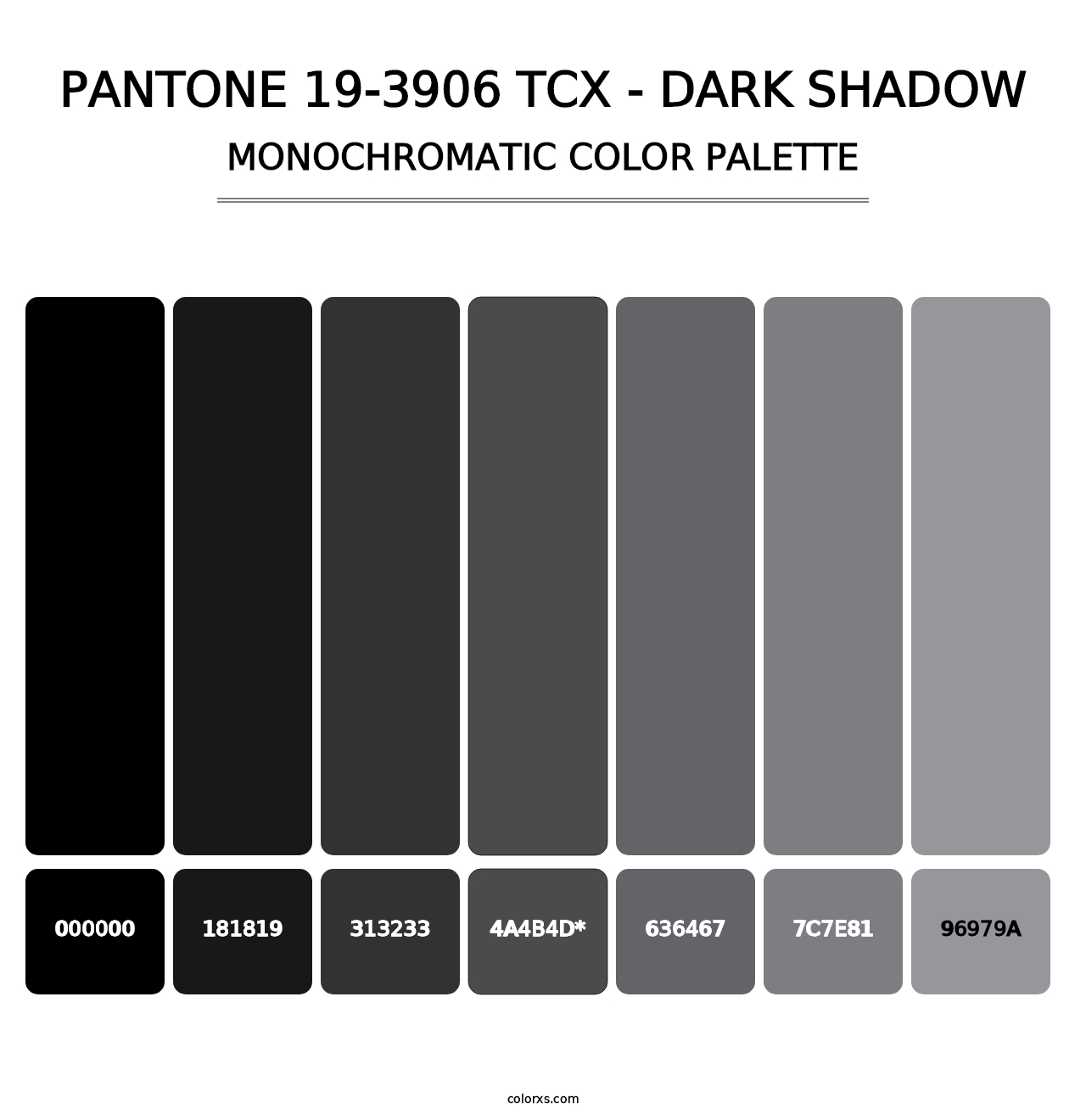 PANTONE 19-3906 TCX - Dark Shadow - Monochromatic Color Palette