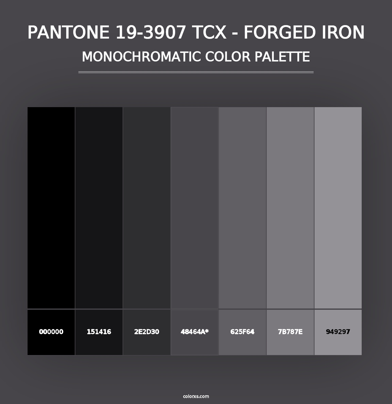 PANTONE 19-3907 TCX - Forged Iron - Monochromatic Color Palette