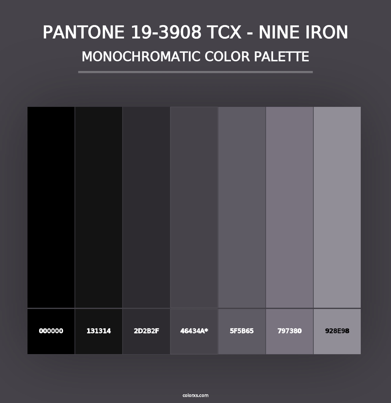 PANTONE 19-3908 TCX - Nine Iron - Monochromatic Color Palette