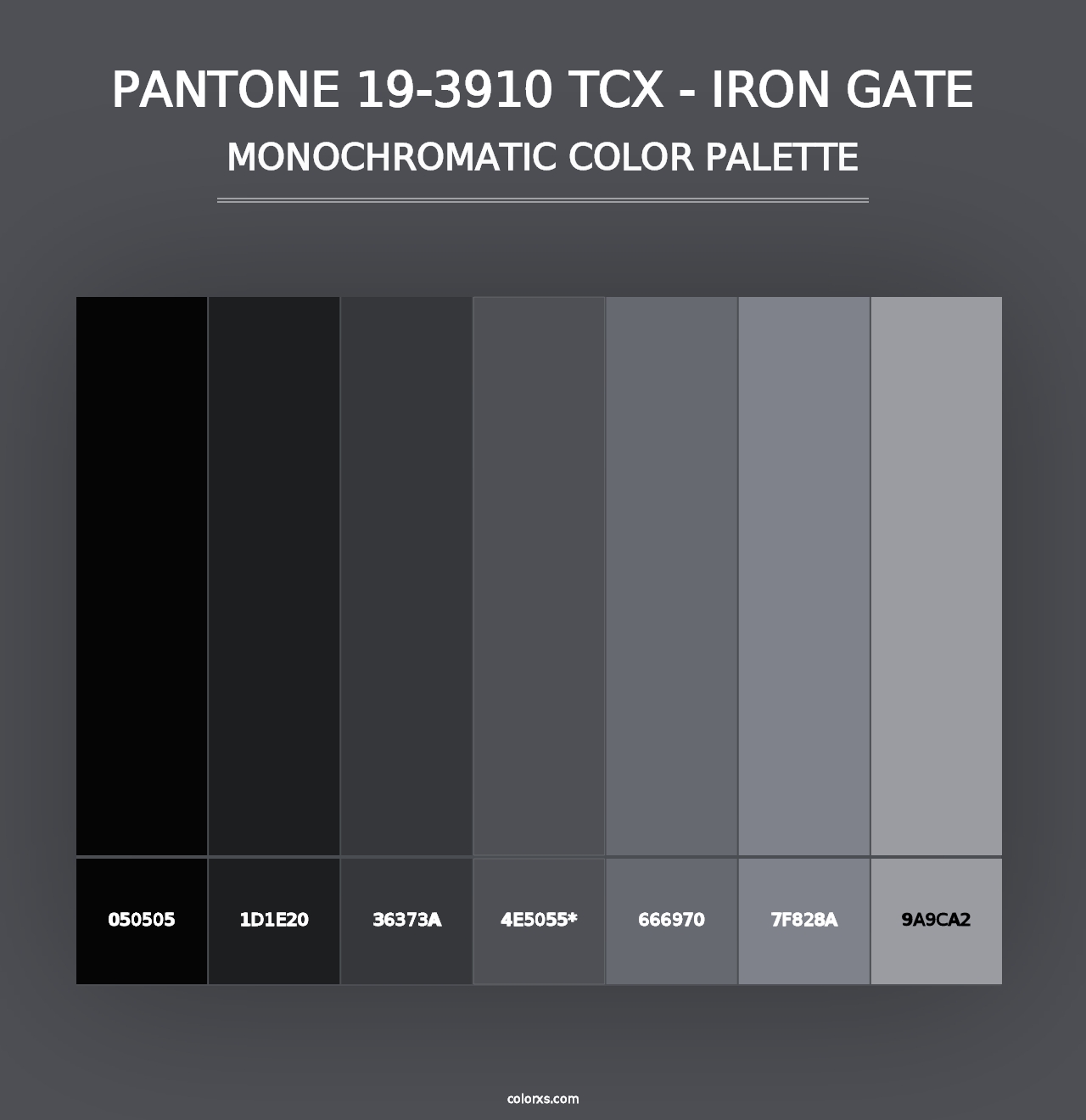 PANTONE 19-3910 TCX - Iron Gate - Monochromatic Color Palette