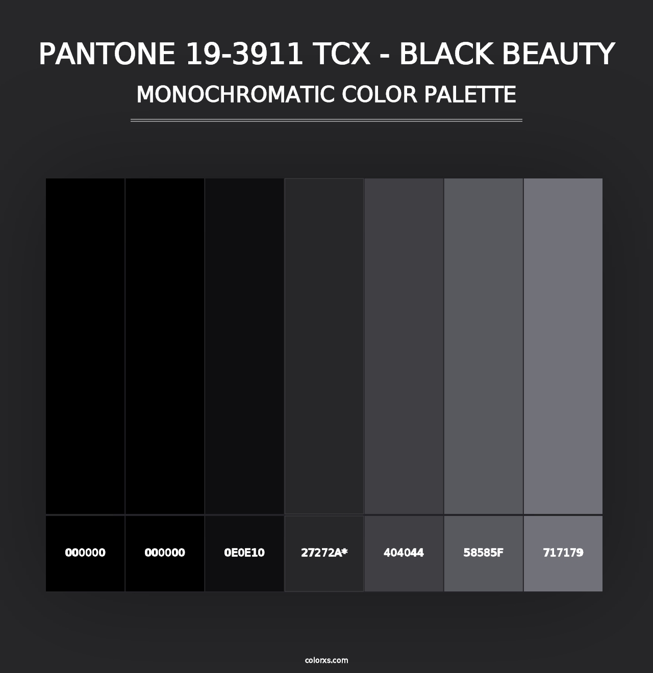 PANTONE 19-3911 TCX - Black Beauty - Monochromatic Color Palette