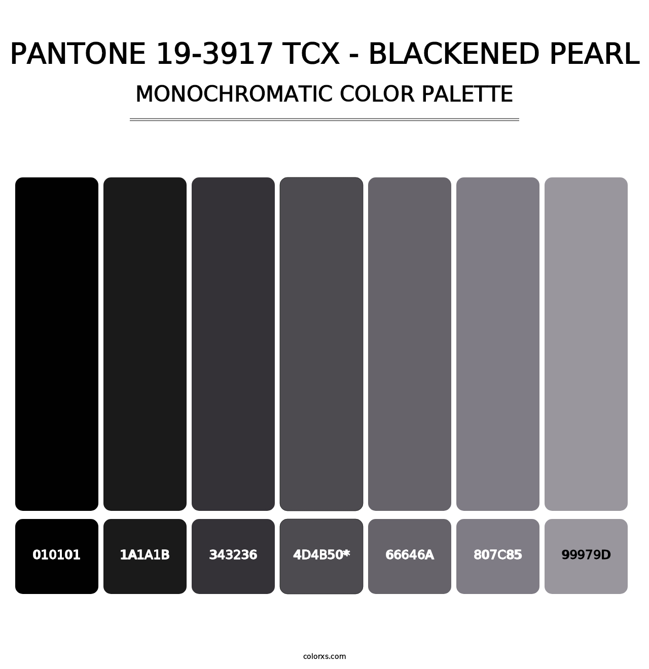 PANTONE 19-3917 TCX - Blackened Pearl - Monochromatic Color Palette