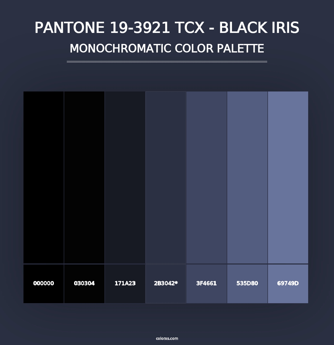 PANTONE 19-3921 TCX - Black Iris - Monochromatic Color Palette