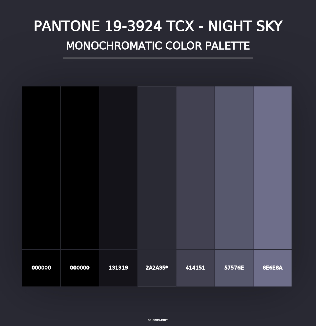 PANTONE 19-3924 TCX - Night Sky - Monochromatic Color Palette