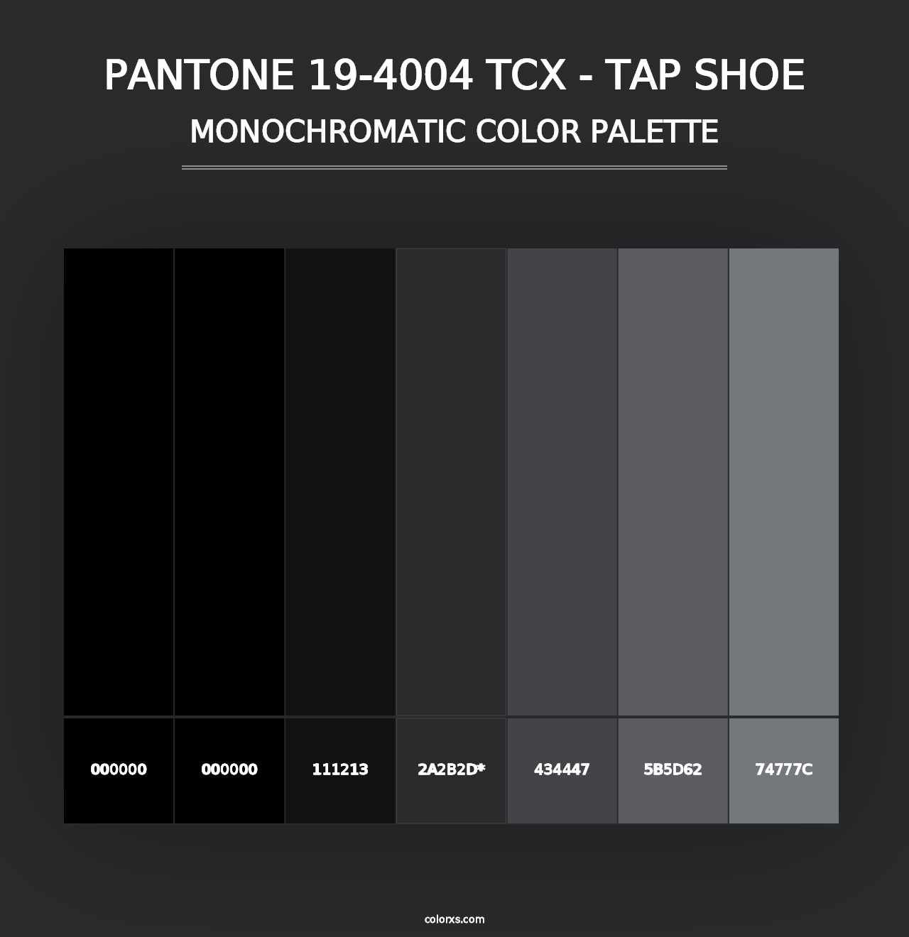 PANTONE 19-4004 TCX - Tap Shoe - Monochromatic Color Palette