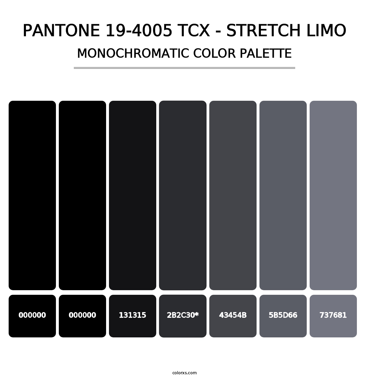 PANTONE 19-4005 TCX - Stretch Limo - Monochromatic Color Palette