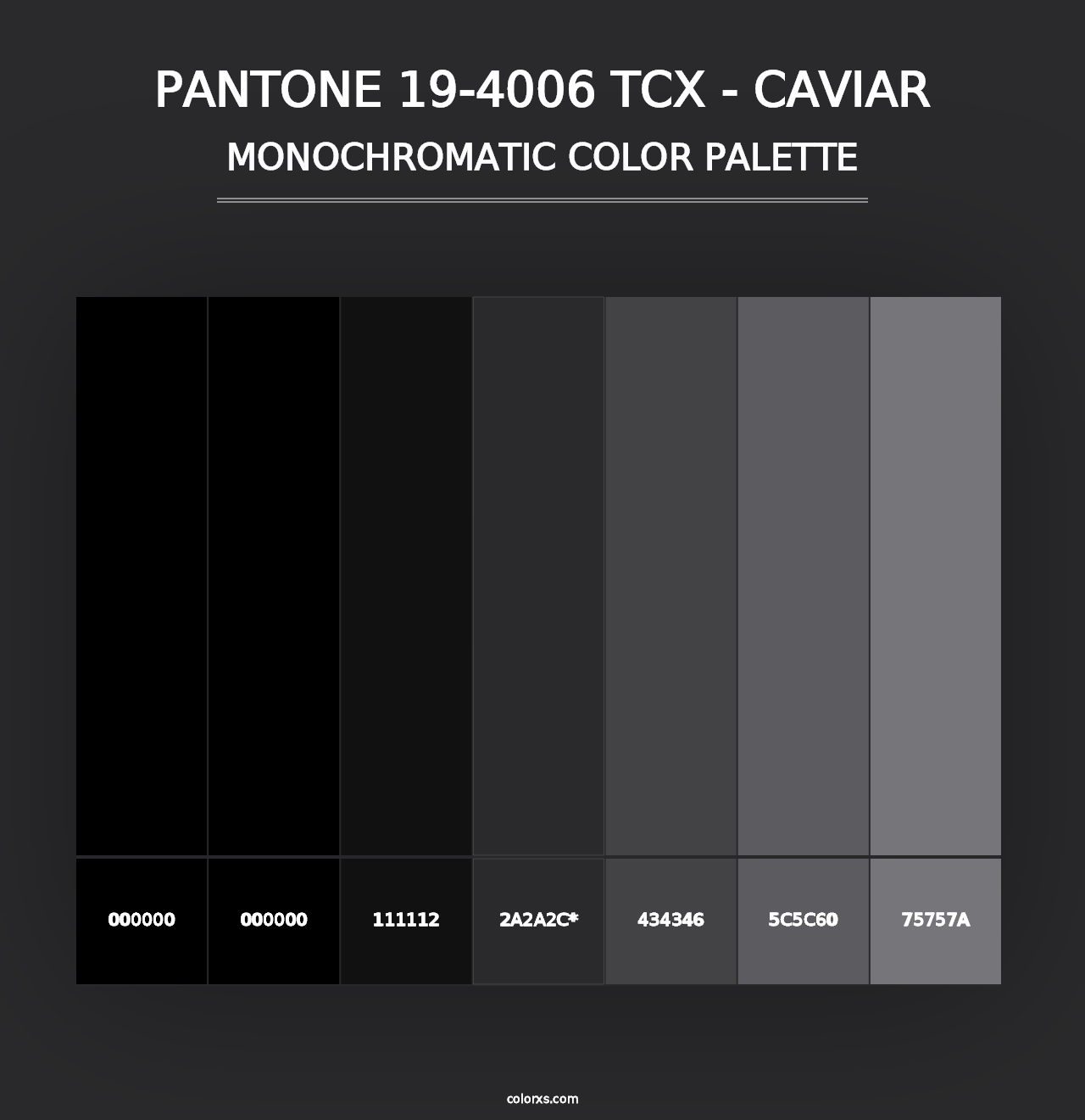 PANTONE 19-4006 TCX - Caviar - Monochromatic Color Palette