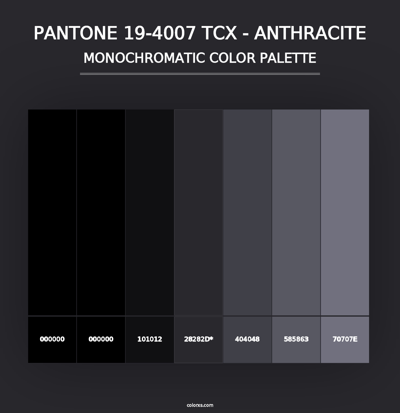 PANTONE 19-4007 TCX - Anthracite - Monochromatic Color Palette