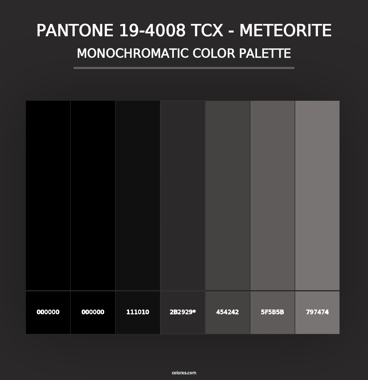 PANTONE 19-4008 TCX - Meteorite - Monochromatic Color Palette