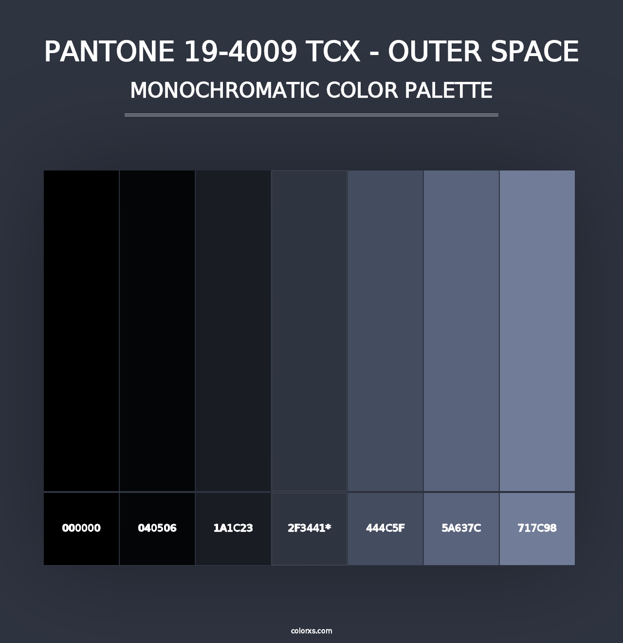 PANTONE 19-4009 TCX - Outer Space - Monochromatic Color Palette