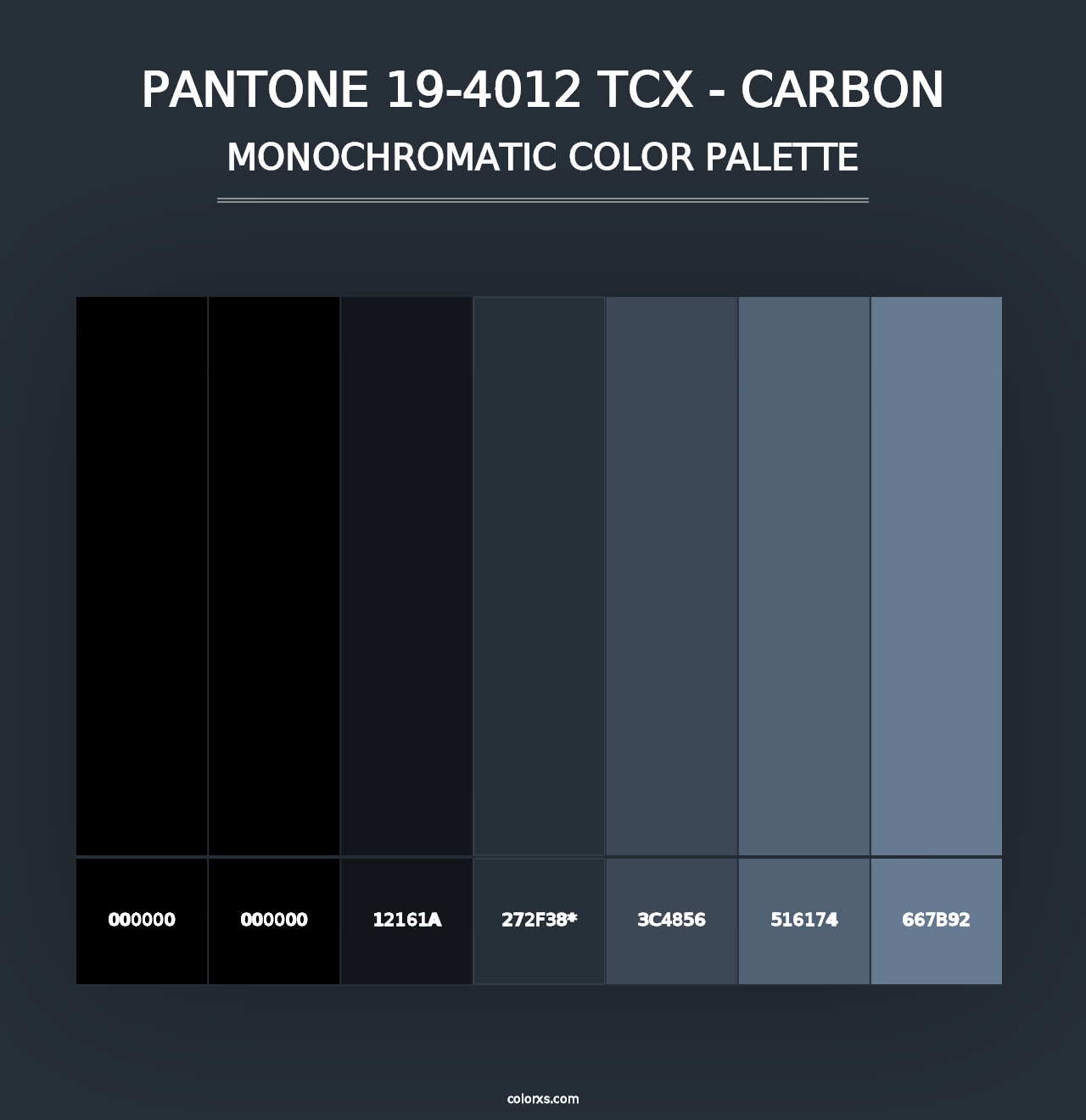 PANTONE 19-4012 TCX - Carbon - Monochromatic Color Palette