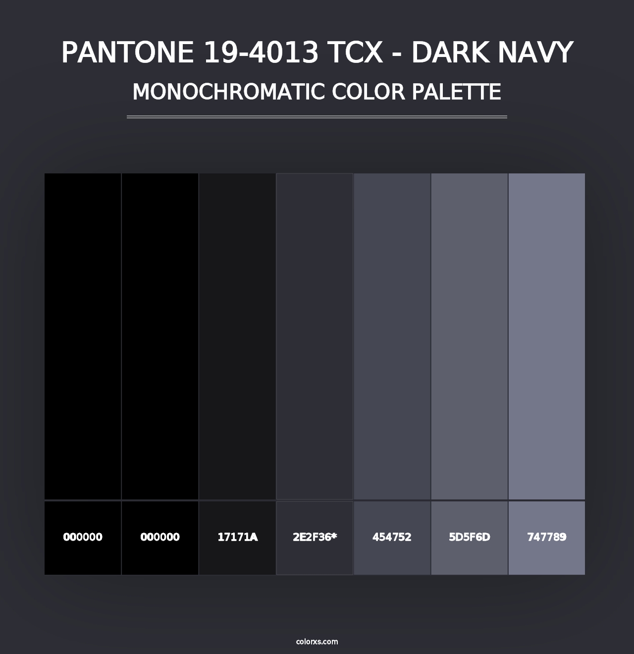 PANTONE 19-4013 TCX - Dark Navy - Monochromatic Color Palette