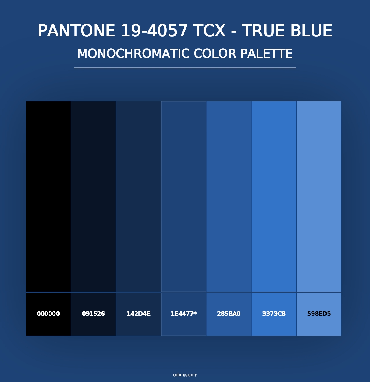 PANTONE 19-4057 TCX - True Blue - Monochromatic Color Palette