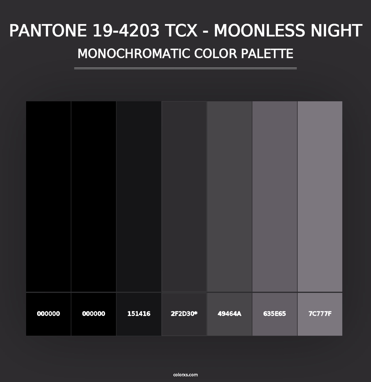 PANTONE 19-4203 TCX - Moonless Night - Monochromatic Color Palette