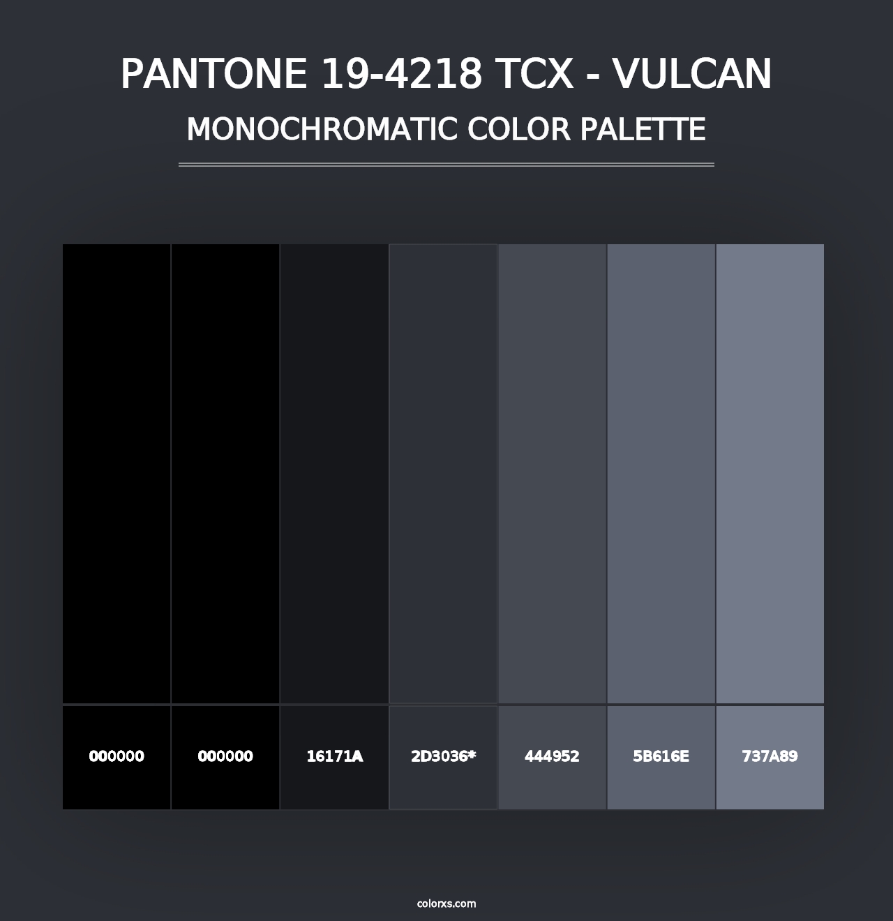 PANTONE 19-4218 TCX - Vulcan - Monochromatic Color Palette