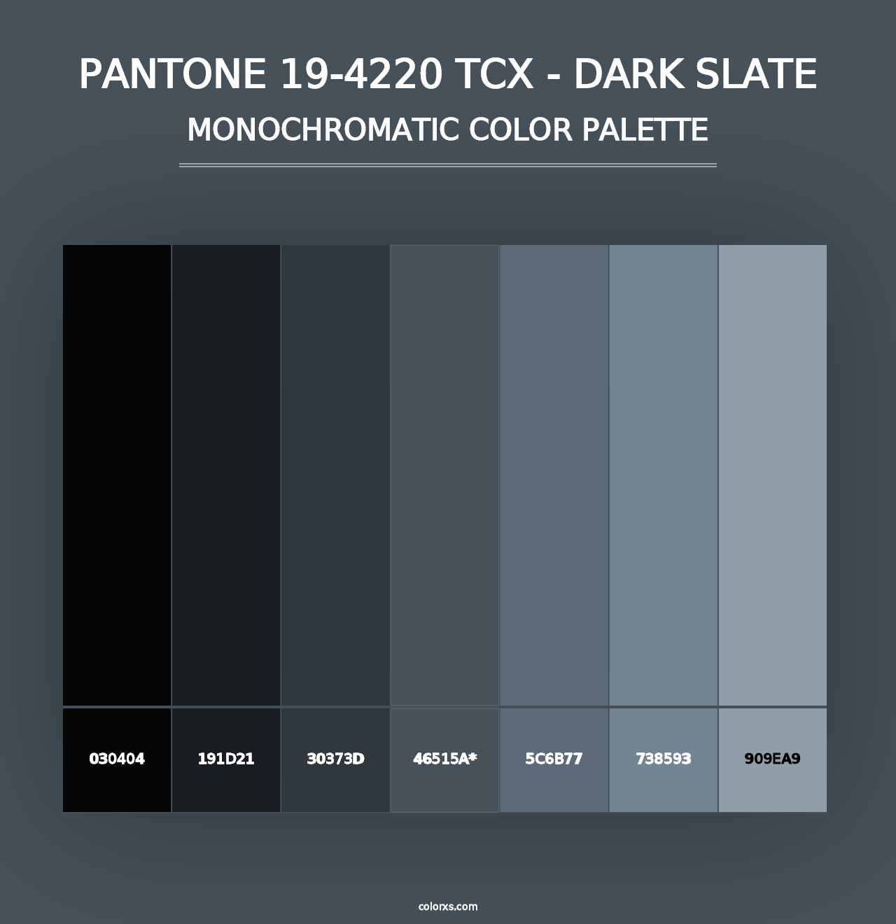 PANTONE 19-4220 TCX - Dark Slate - Monochromatic Color Palette