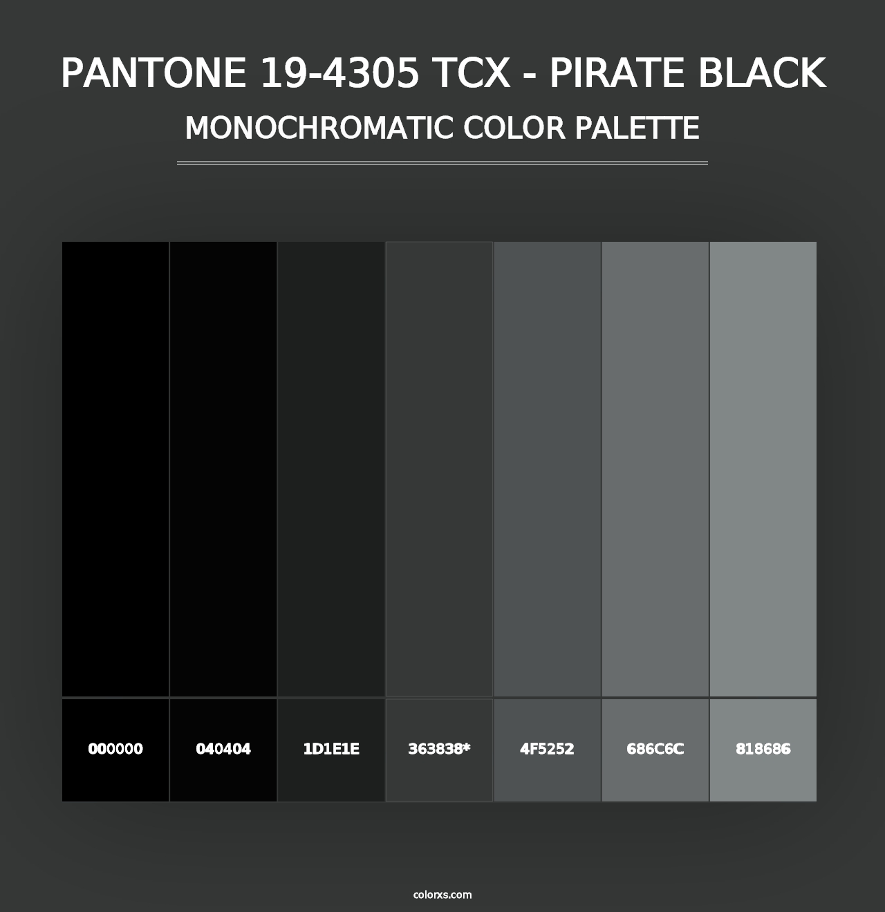 PANTONE 19-4305 TCX - Pirate Black - Monochromatic Color Palette