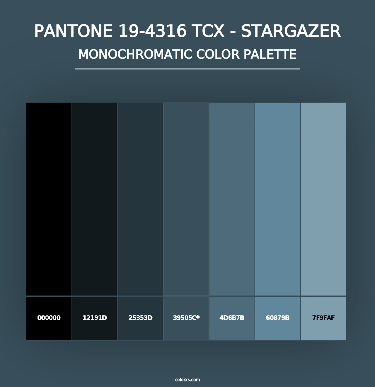 PANTONE 19-4316 TCX - Stargazer - Monochromatic Color Palette