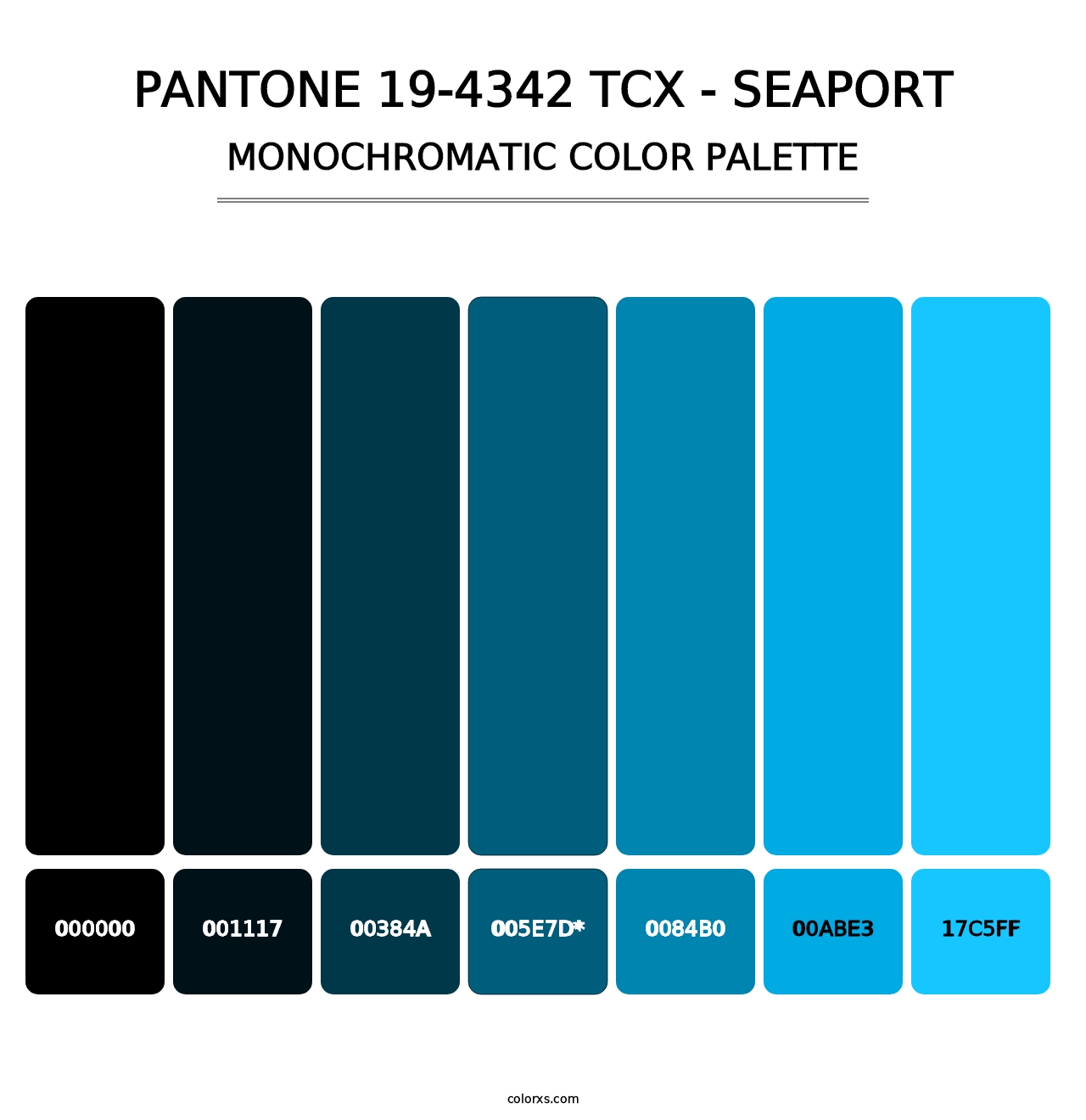 PANTONE 19-4342 TCX - Seaport - Monochromatic Color Palette