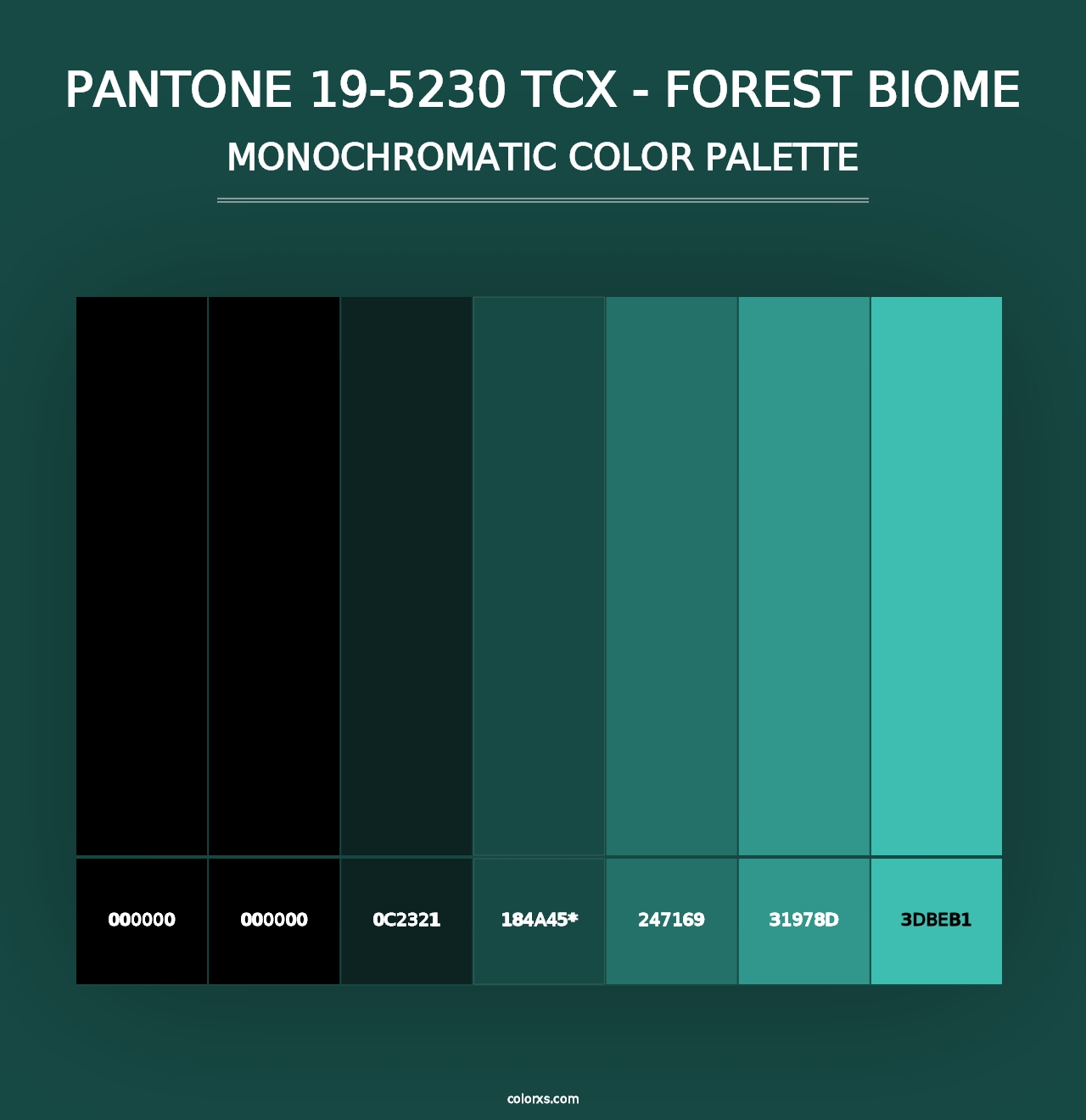 PANTONE 19-5230 TCX - Forest Biome - Monochromatic Color Palette