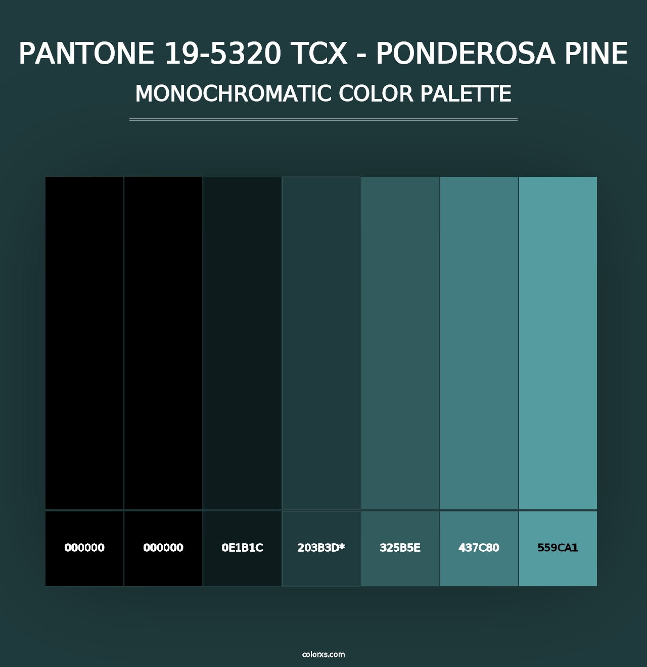 PANTONE 19-5320 TCX - Ponderosa Pine - Monochromatic Color Palette