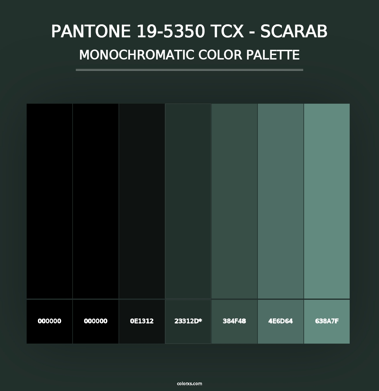 PANTONE 19-5350 TCX - Scarab - Monochromatic Color Palette