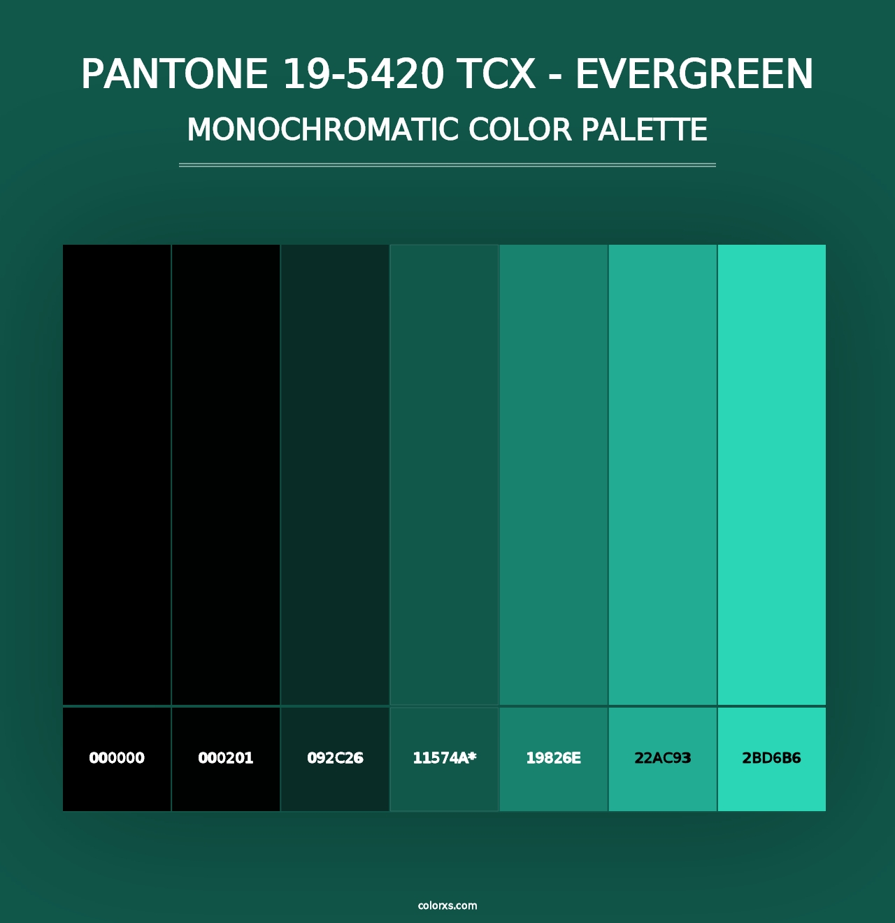 PANTONE 19-5420 TCX - Evergreen - Monochromatic Color Palette