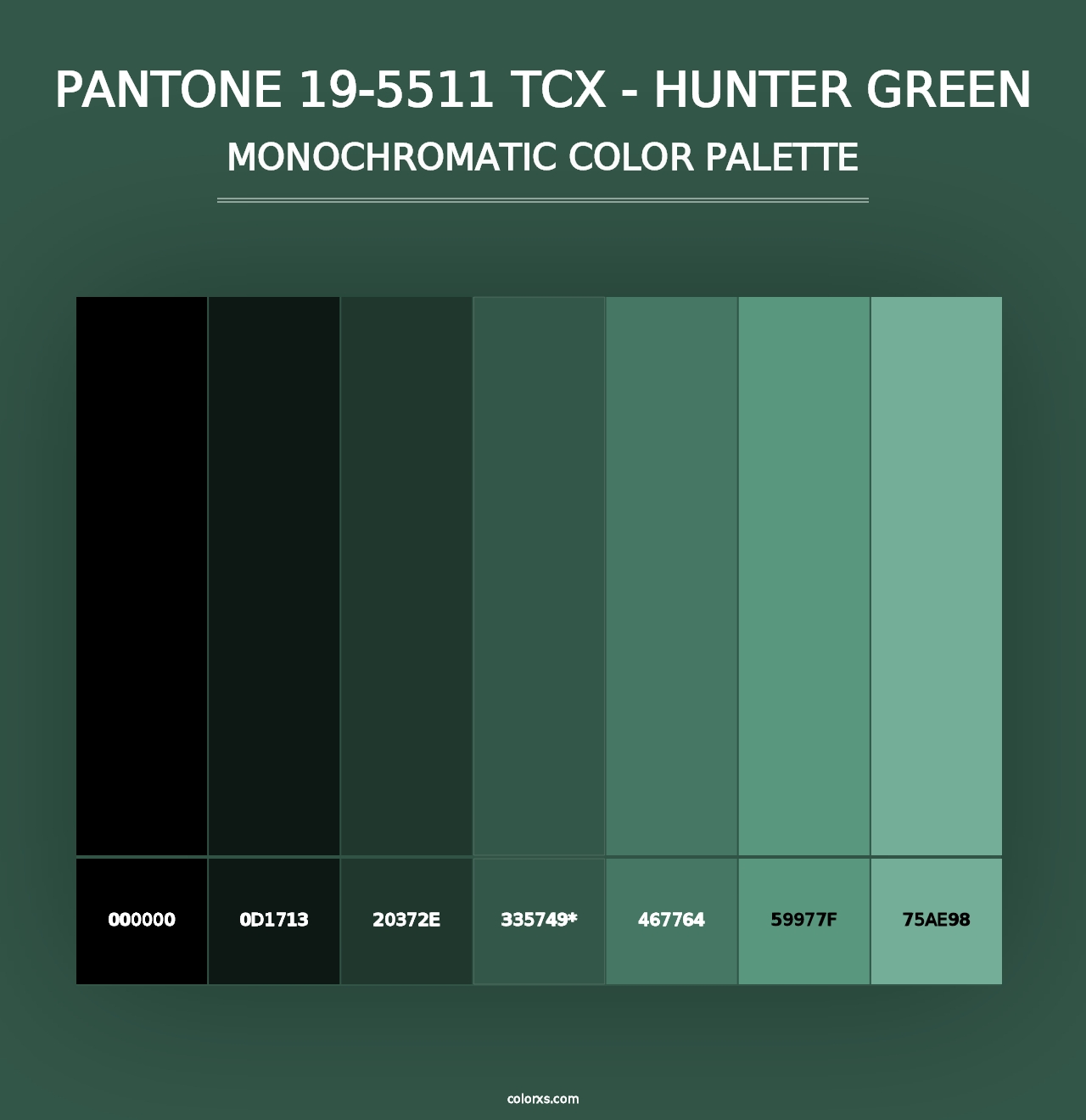 PANTONE 19-5511 TCX - Hunter Green - Monochromatic Color Palette