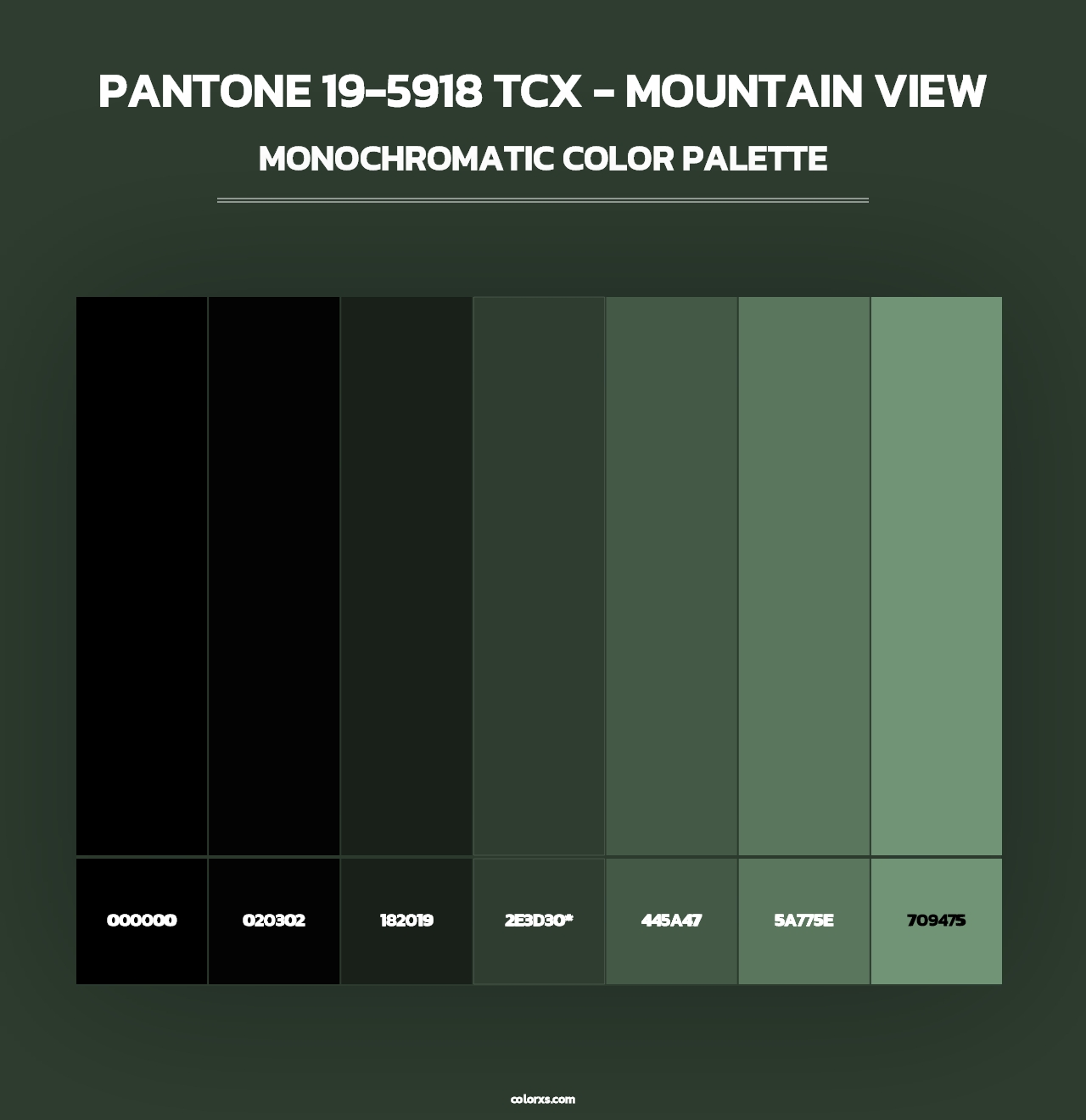 PANTONE 19-5918 TCX - Mountain View - Monochromatic Color Palette