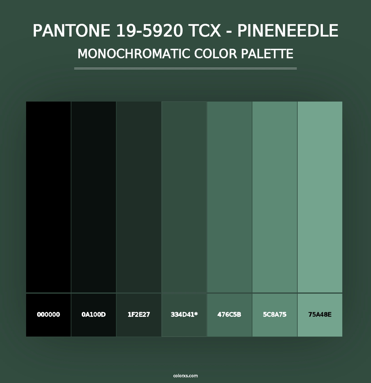 PANTONE 19-5920 TCX - Pineneedle - Monochromatic Color Palette