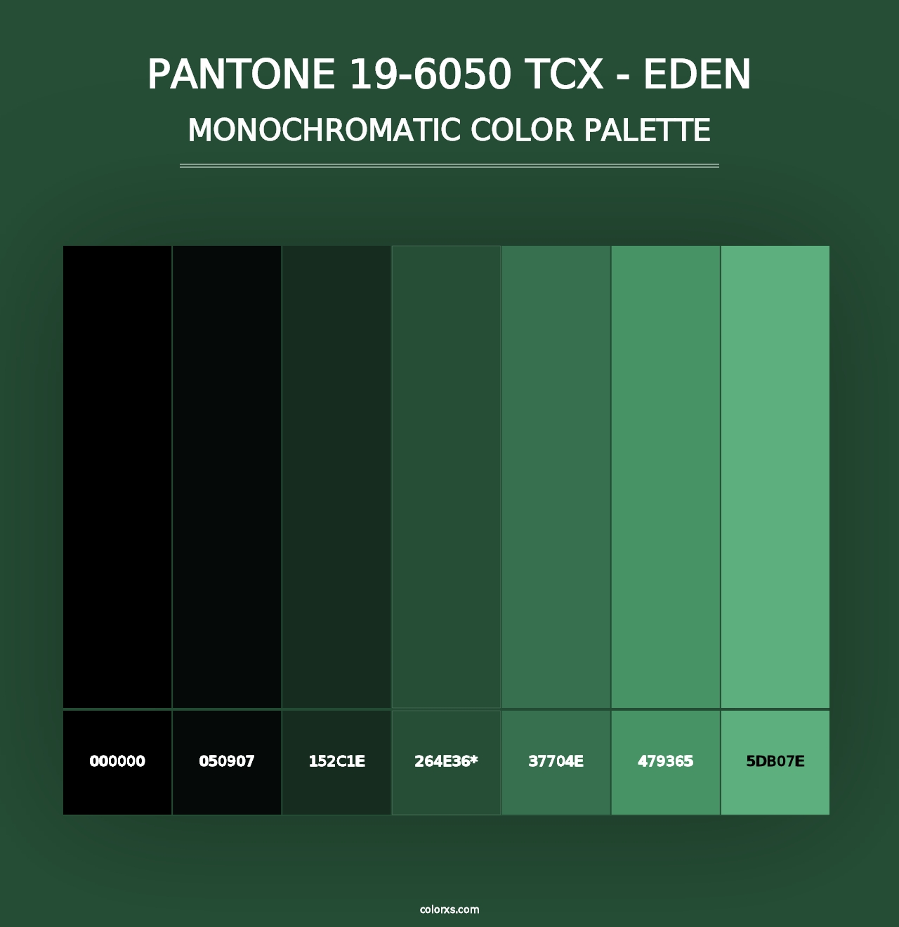 PANTONE 19-6050 TCX - Eden - Monochromatic Color Palette