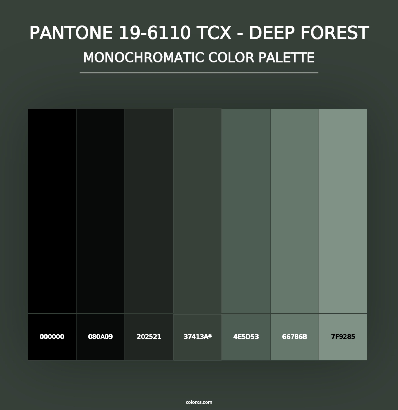 PANTONE 19-6110 TCX - Deep Forest - Monochromatic Color Palette