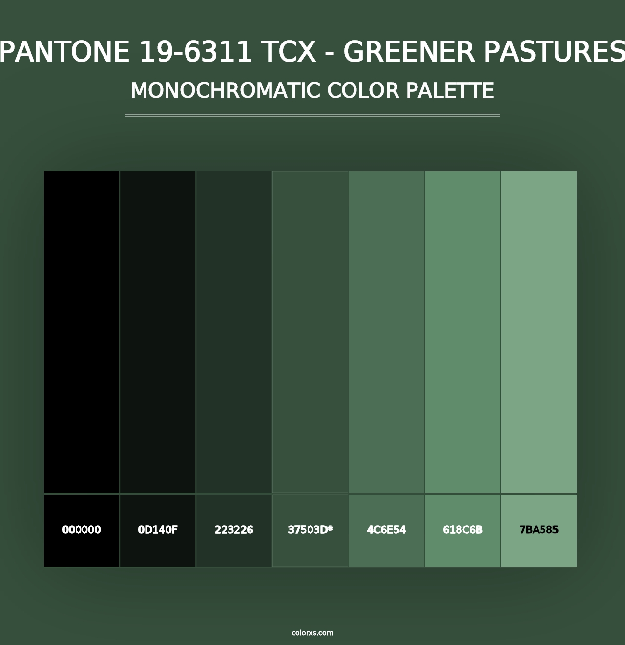 PANTONE 19-6311 TCX - Greener Pastures - Monochromatic Color Palette