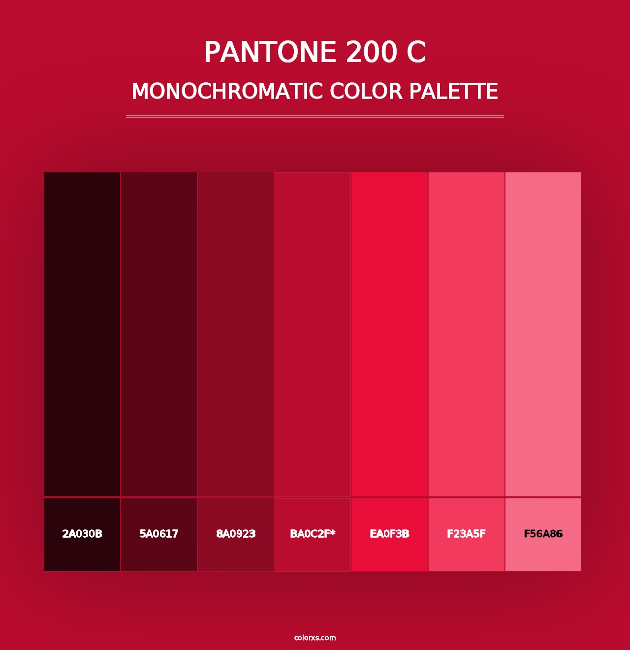 PANTONE 200 C - Monochromatic Color Palette