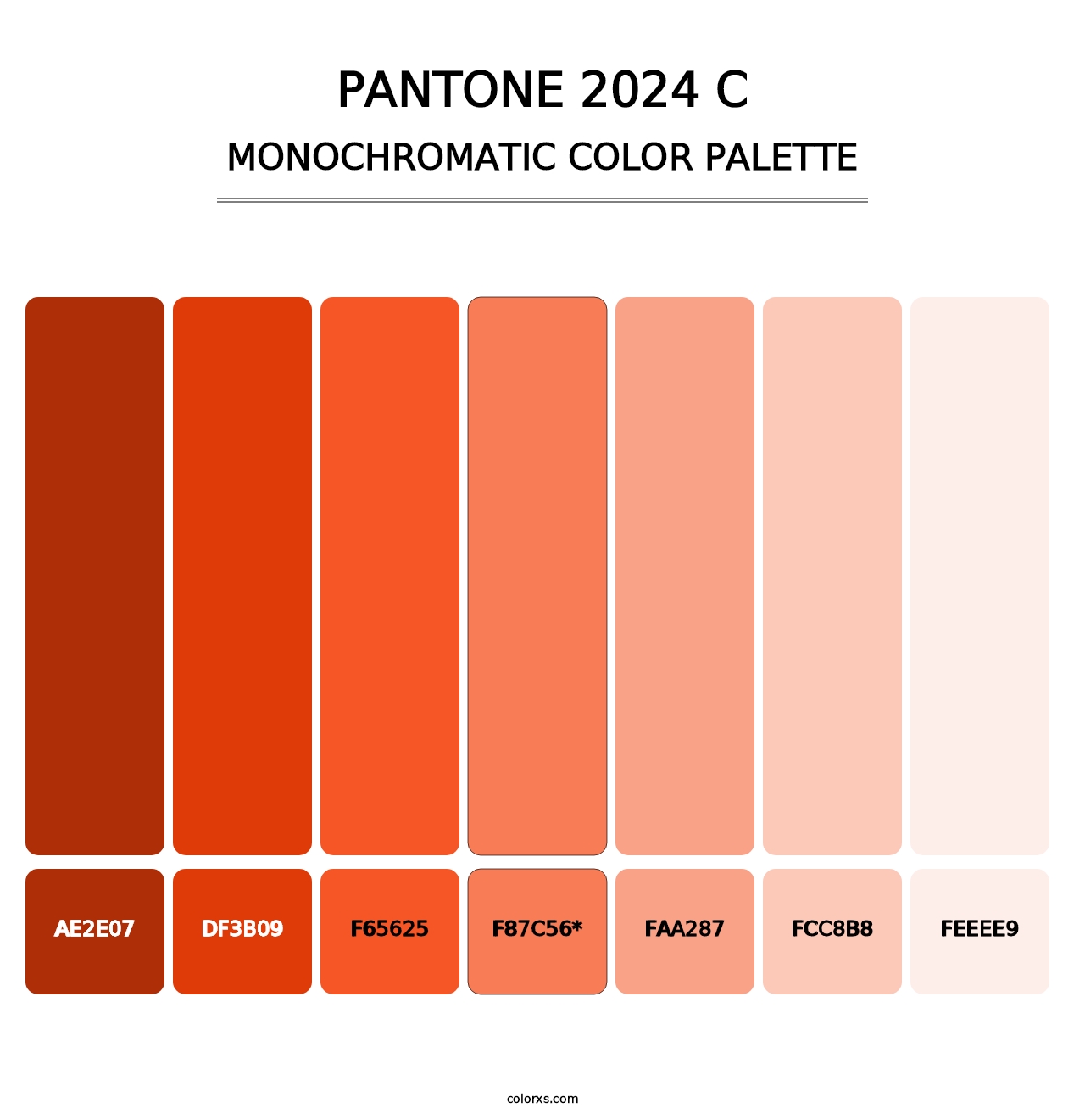 PANTONE 2024 C - Monochromatic Color Palette