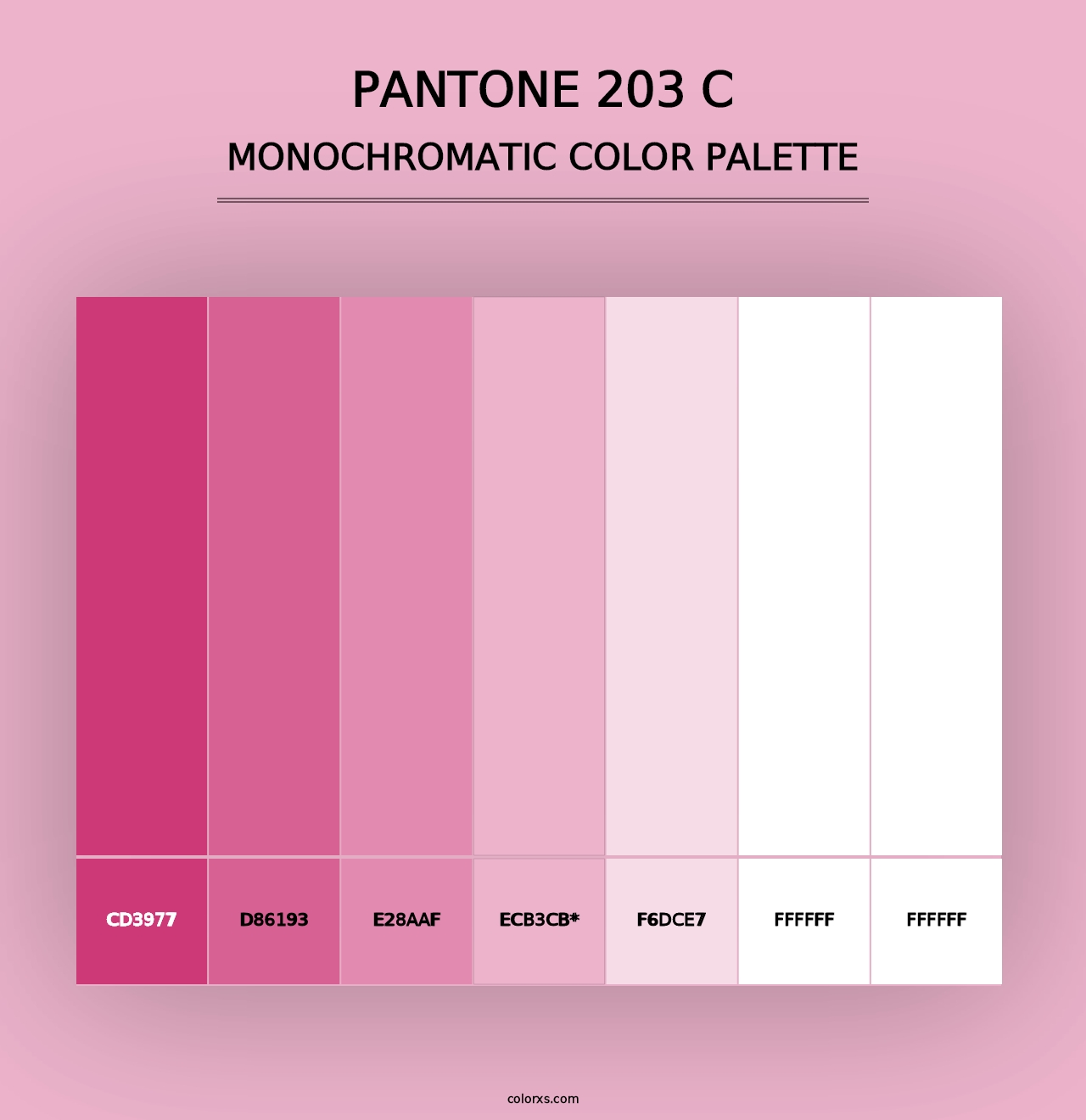 PANTONE 203 C - Monochromatic Color Palette