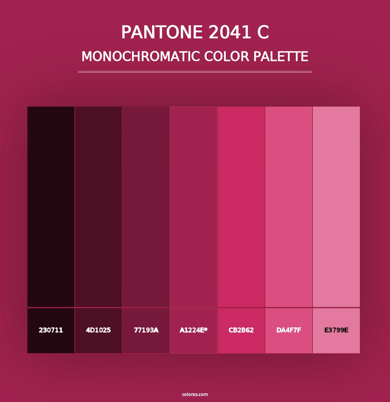 PANTONE 2041 C - Monochromatic Color Palette