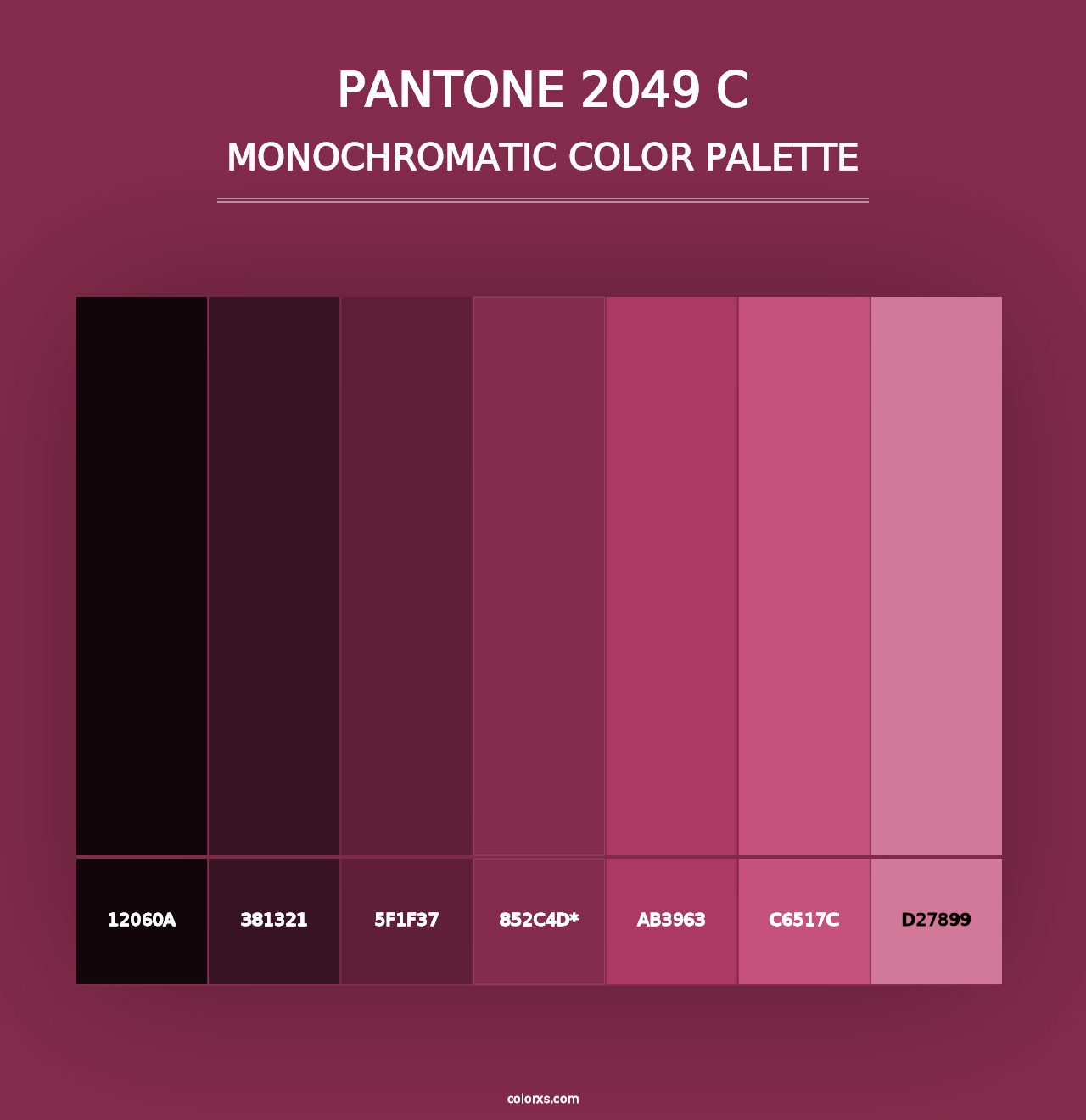 PANTONE 2049 C - Monochromatic Color Palette