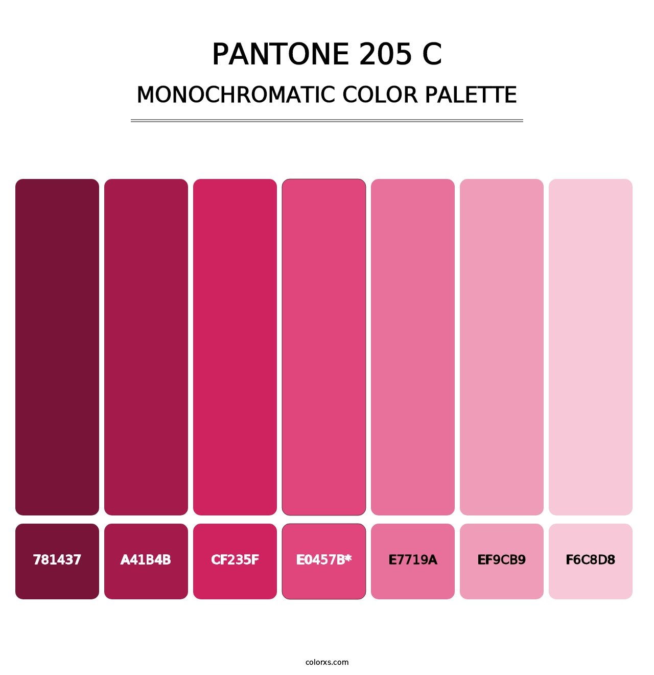 PANTONE 205 C - Monochromatic Color Palette